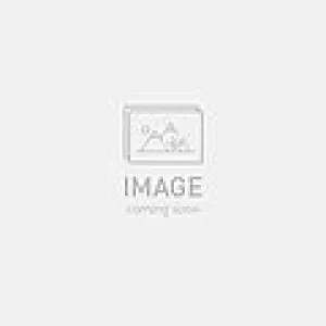 2025 SPECIALIZED GAMBIT HELMET - GUNMETAL, SMALL