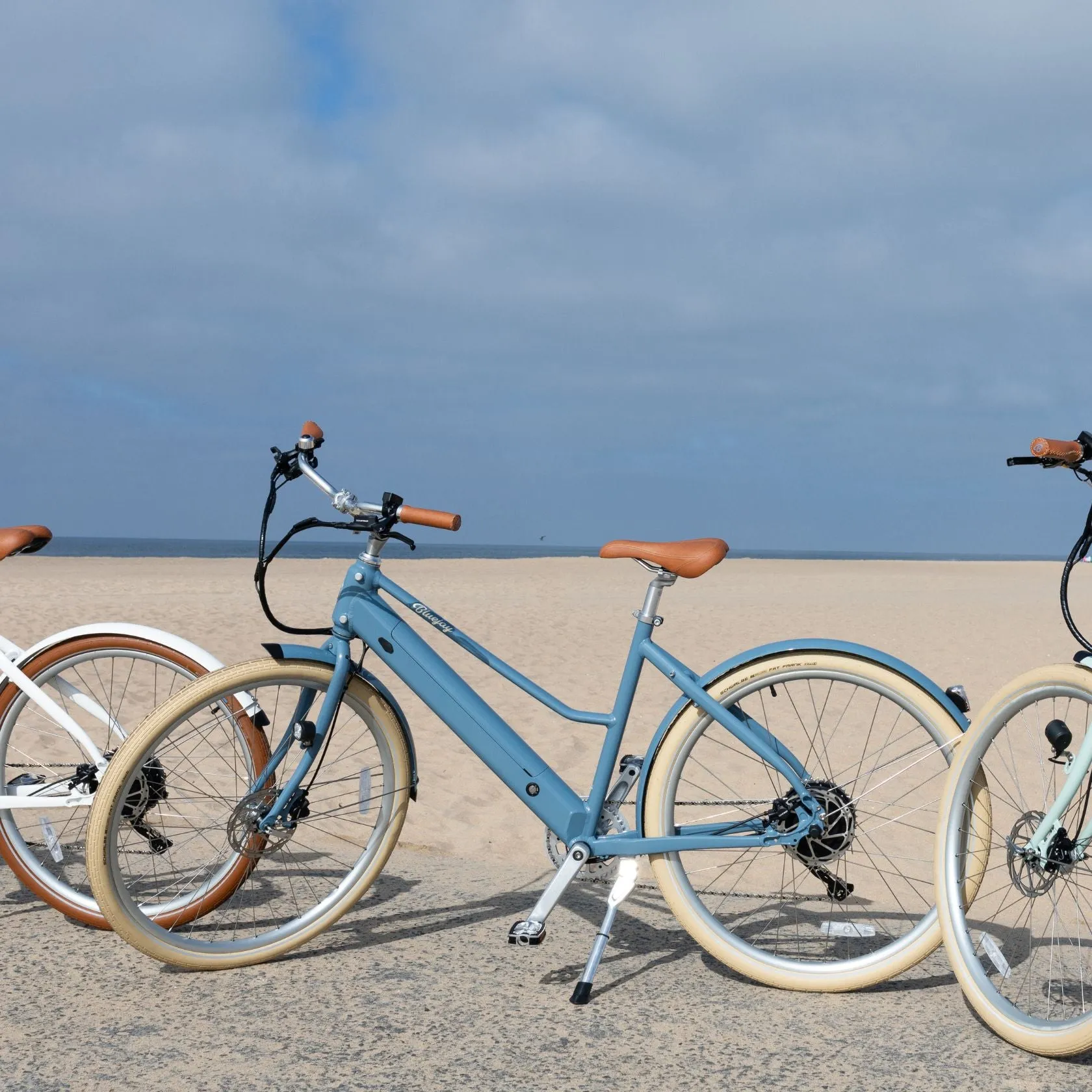 Bluejay Premiere Lite - Bluejay Blue Electric Bike