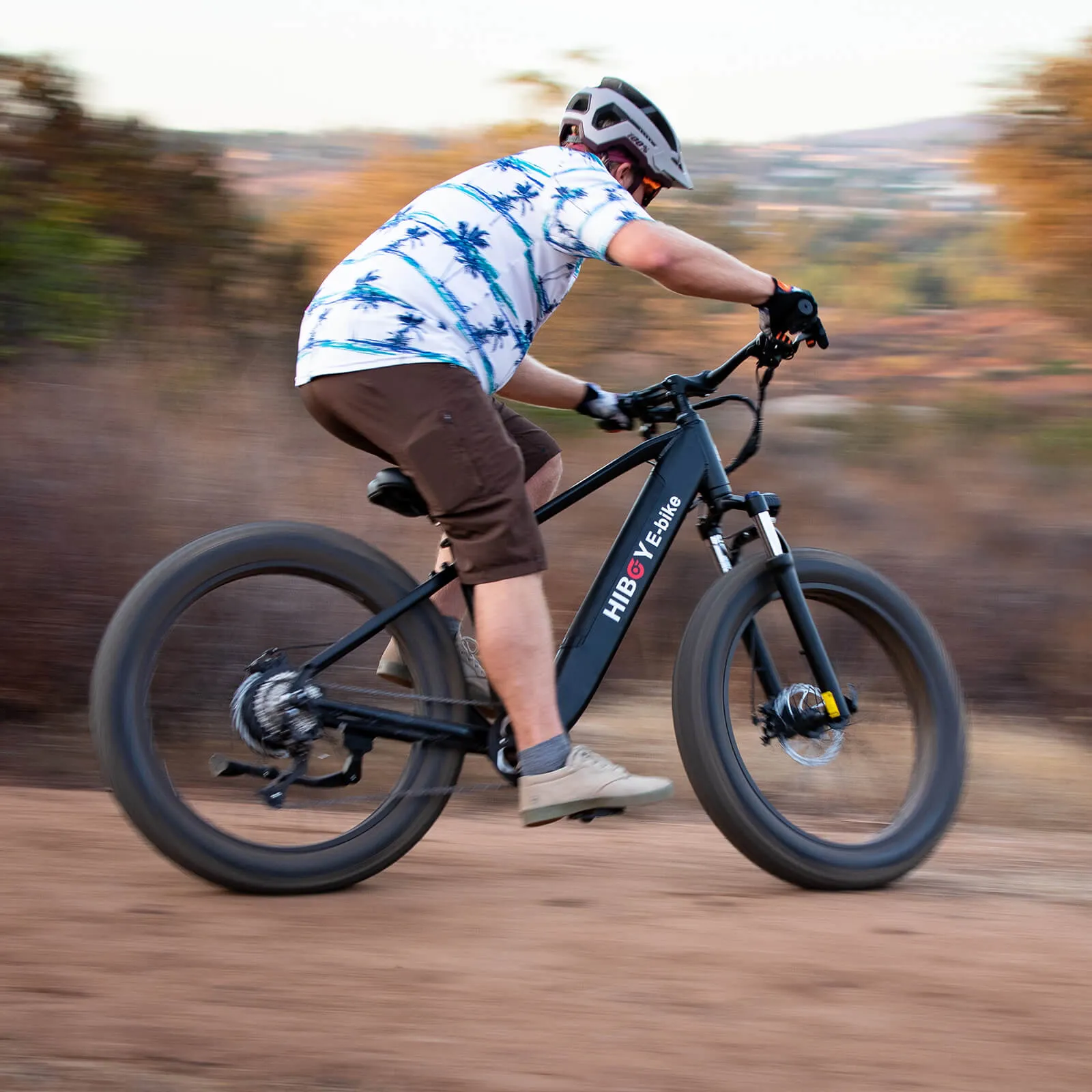 Hiboy P6 Refurbished Fat Tire Electric Bike
