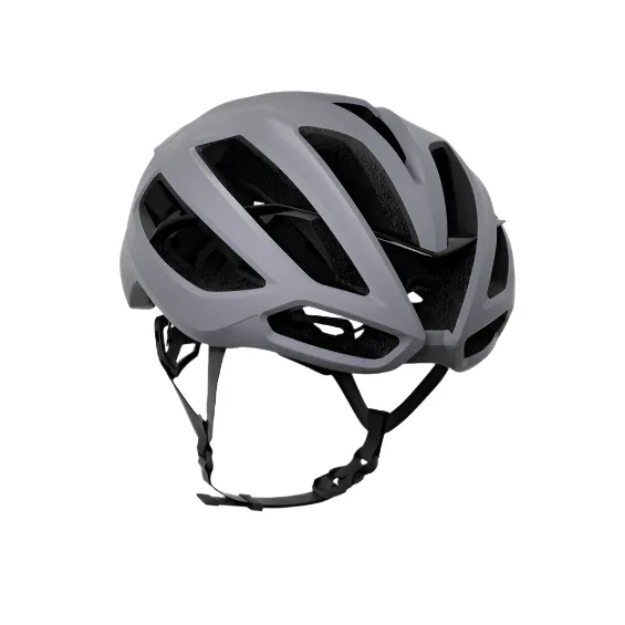 KASK Protone Icon Helmet