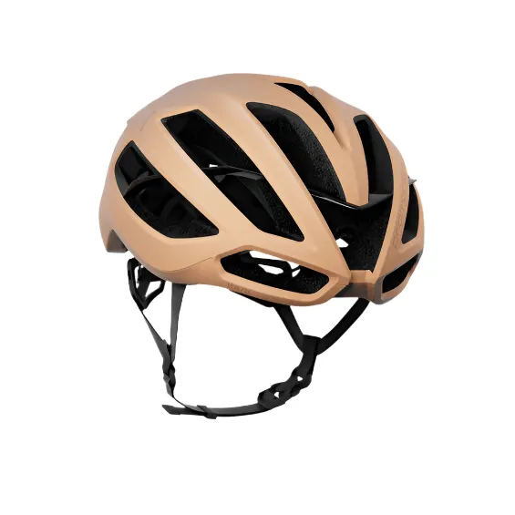 KASK Protone Icon Helmet