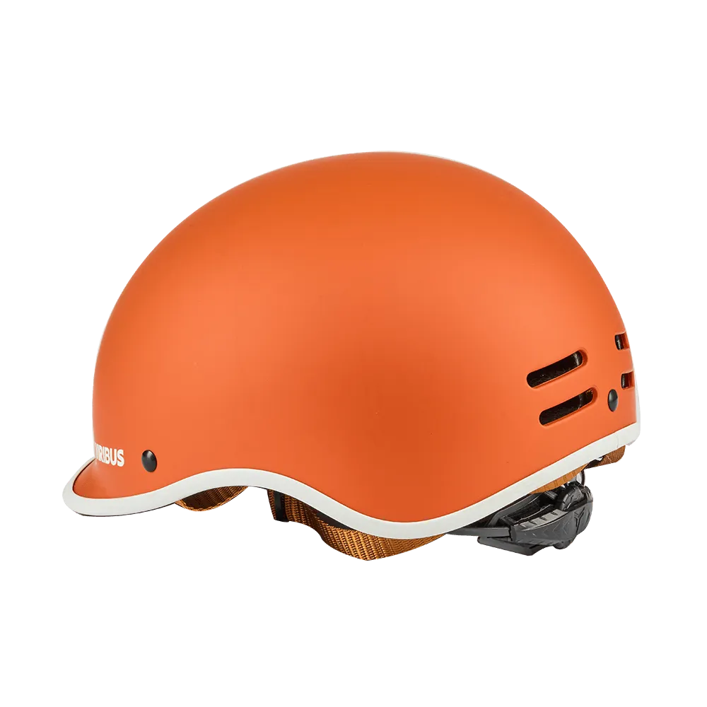 Viribus Bike Helmet