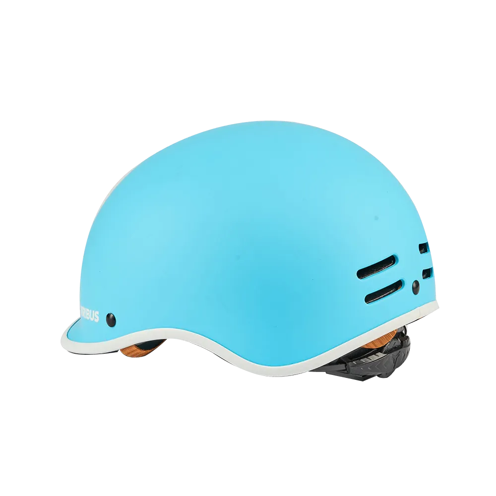 Viribus Bike Helmet
